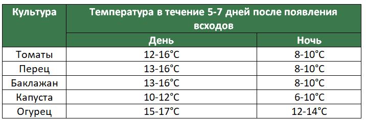 content-img (1).png