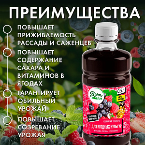 ЖКУ для ягод, 0,5л, Дача Тайм, органоминеральное