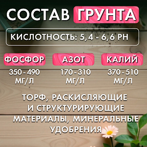 Грунт для цветов, 5л, Дача Тайм